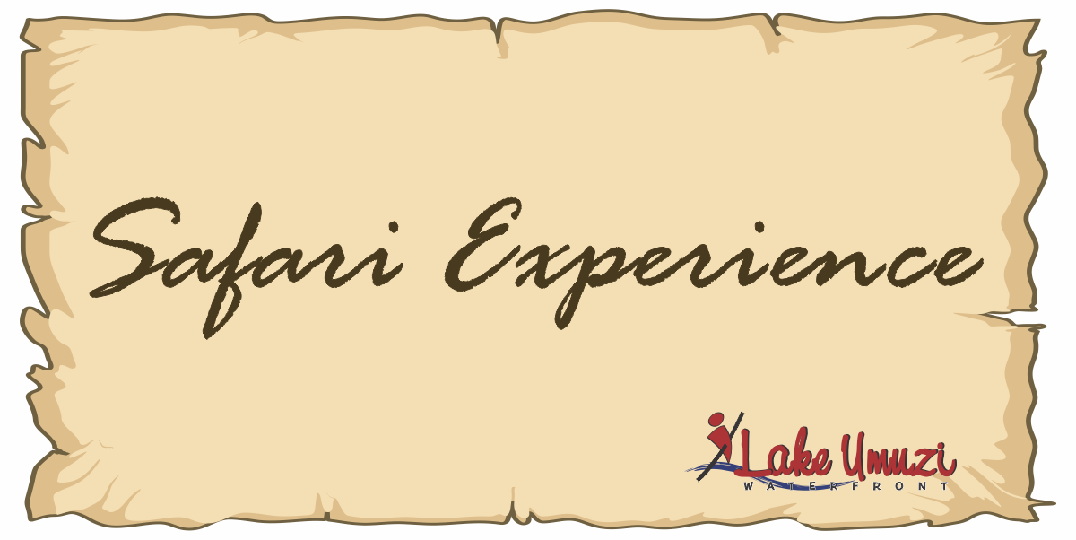 Safari Experience